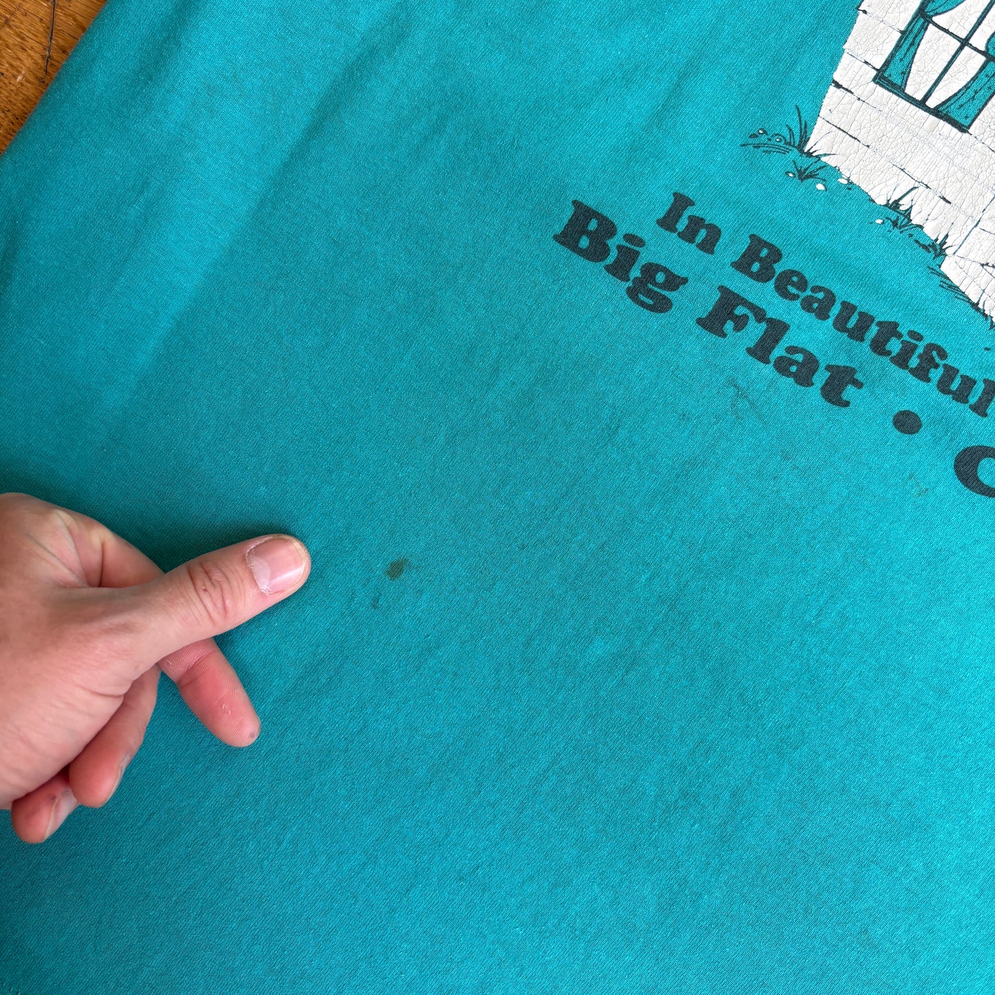Vintage 90s Blue Single Stitch Graphic T-Shirt - S