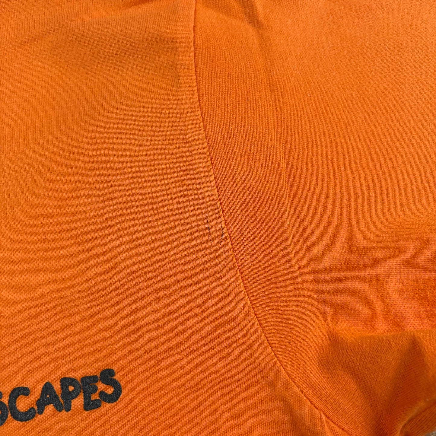 Vintage Orange Lizard Graphic T-Shirt - XS