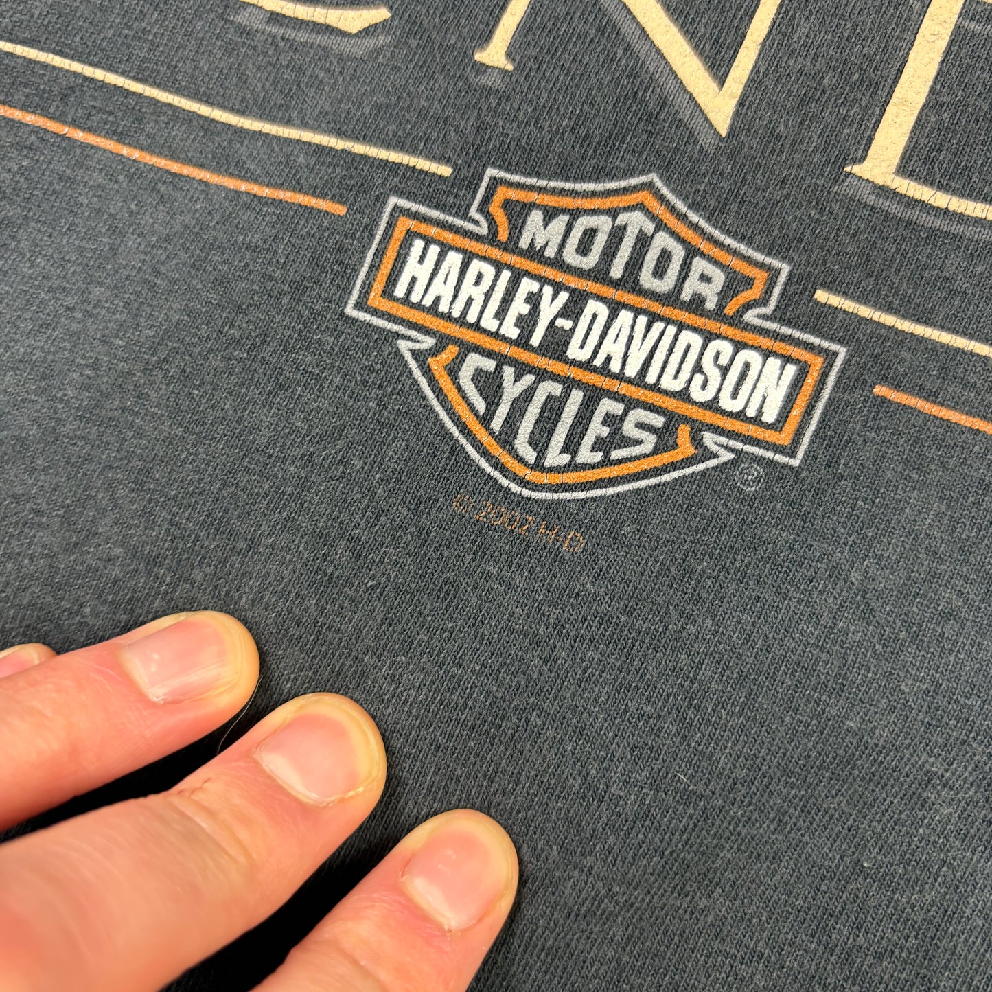 Vintage 2002 Harley Davidson Black Long Sleeve Graphic T-Shirt - L