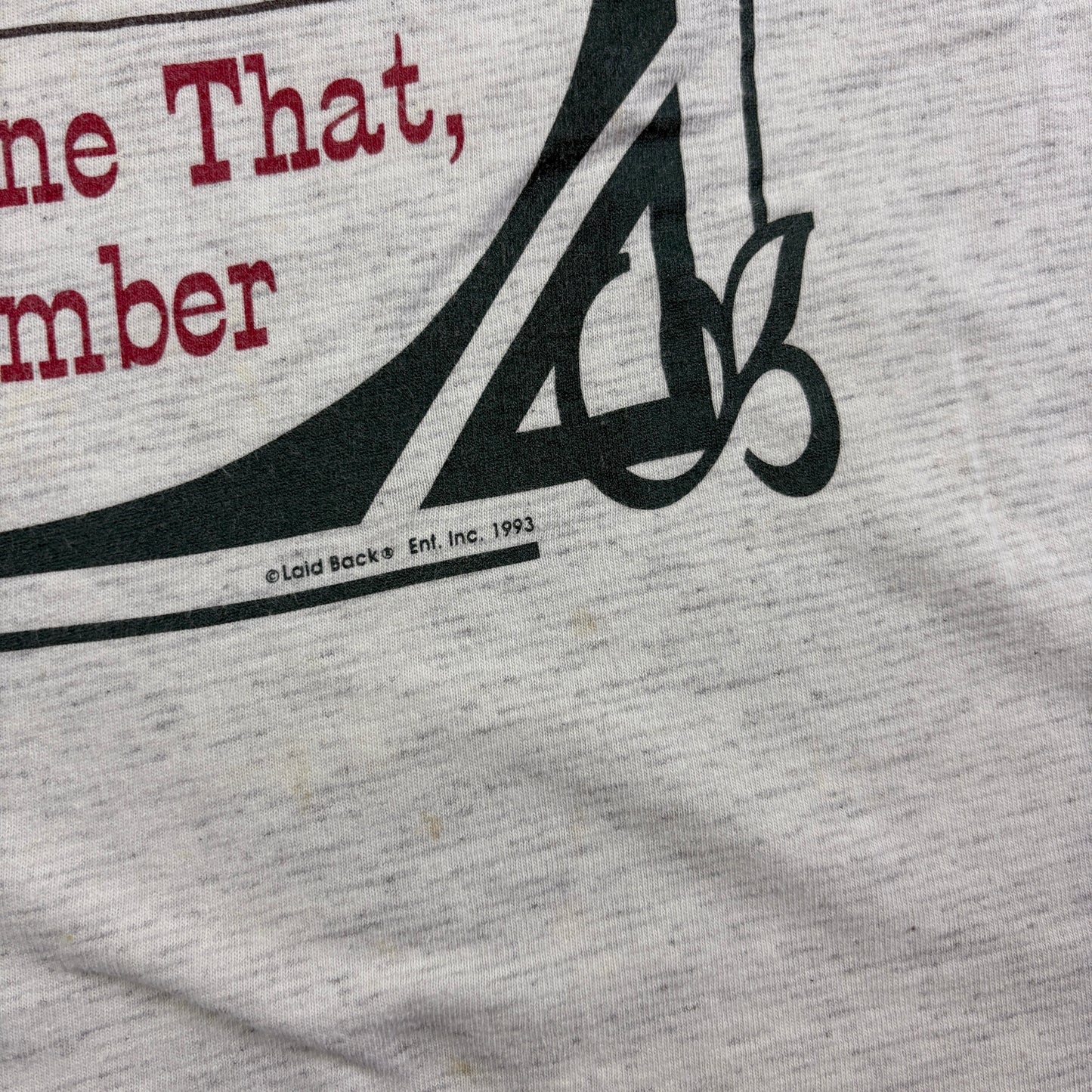 Vintage 1993 Funny Grey Single Stitch Graphic T-Shirt - M