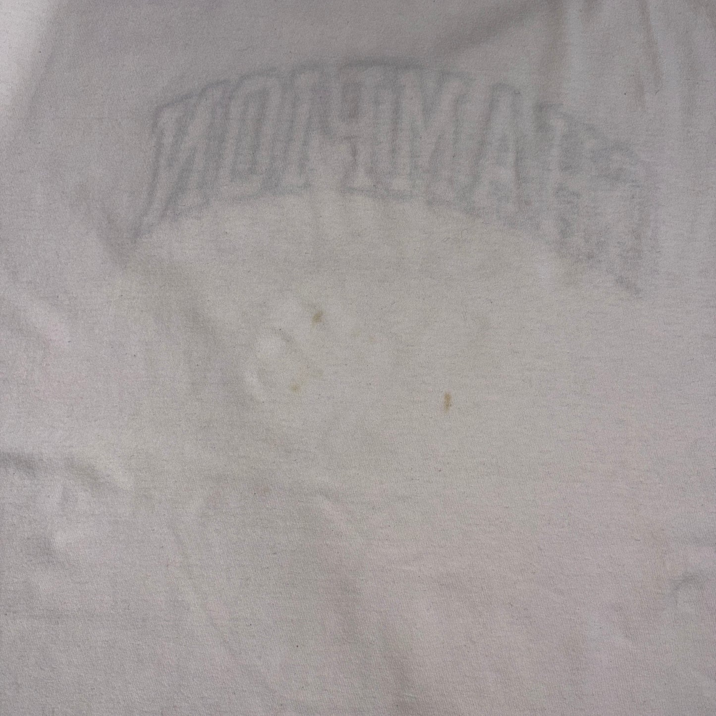 Vintage Champion White Embroidered Spellout Boxy Graphic T-Shirt - L