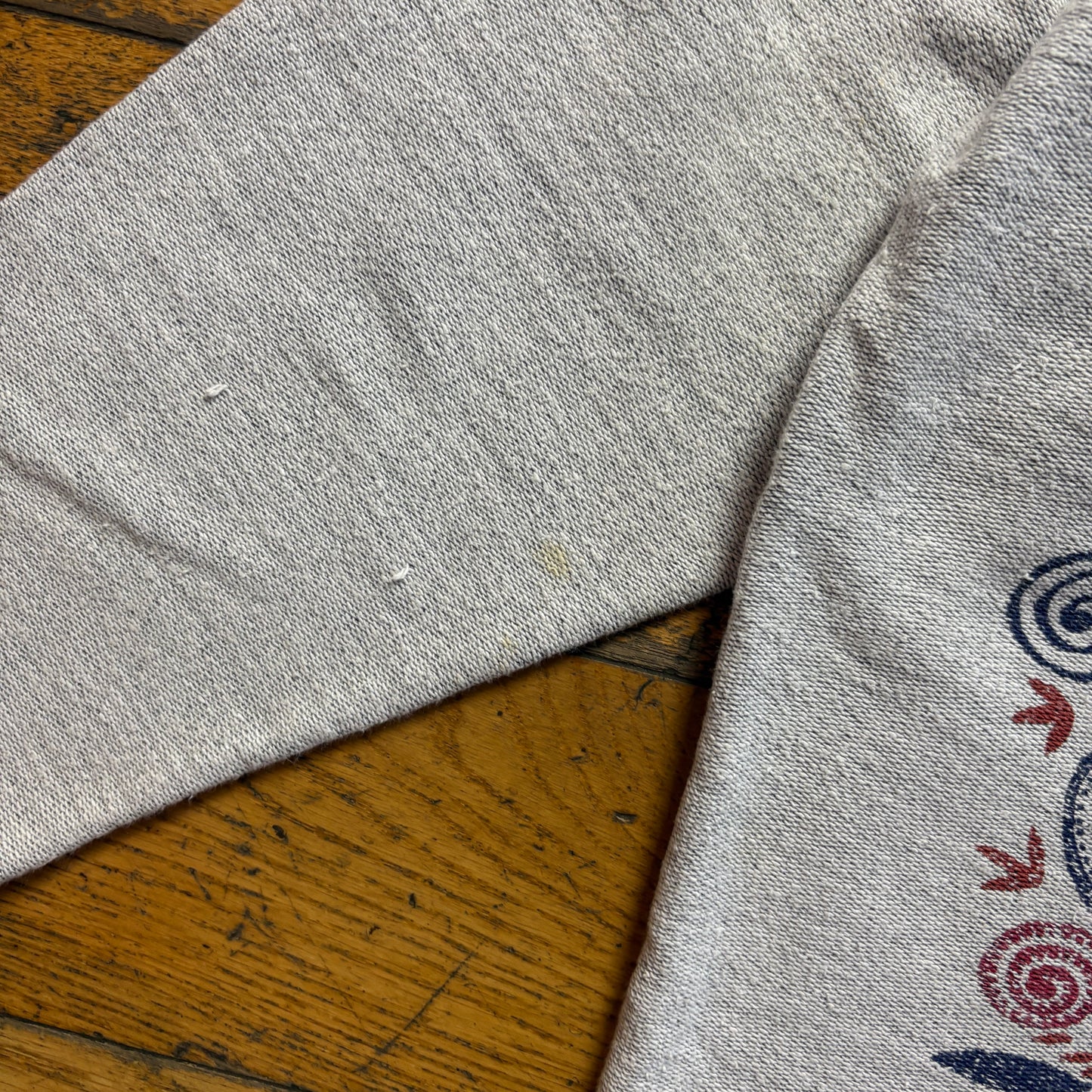 Vintage 90s Grey Graphic Lizard 3/4 Sleeve Sweatshirt - M