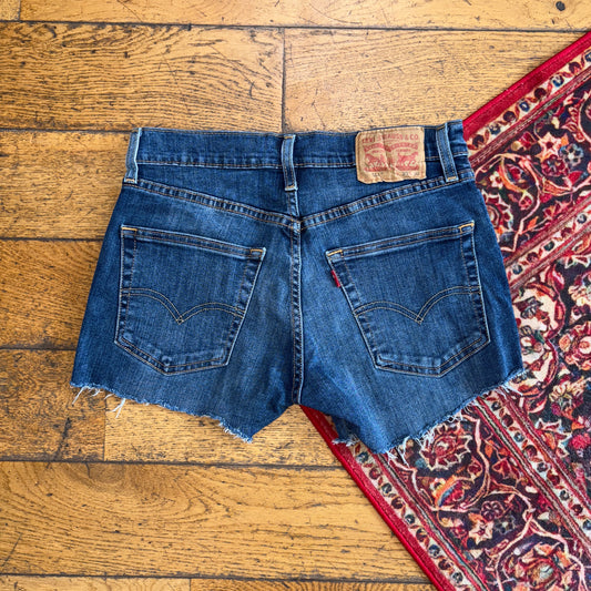 Vintage Levis 511 Micro Blue Denim Shorts - Size 10