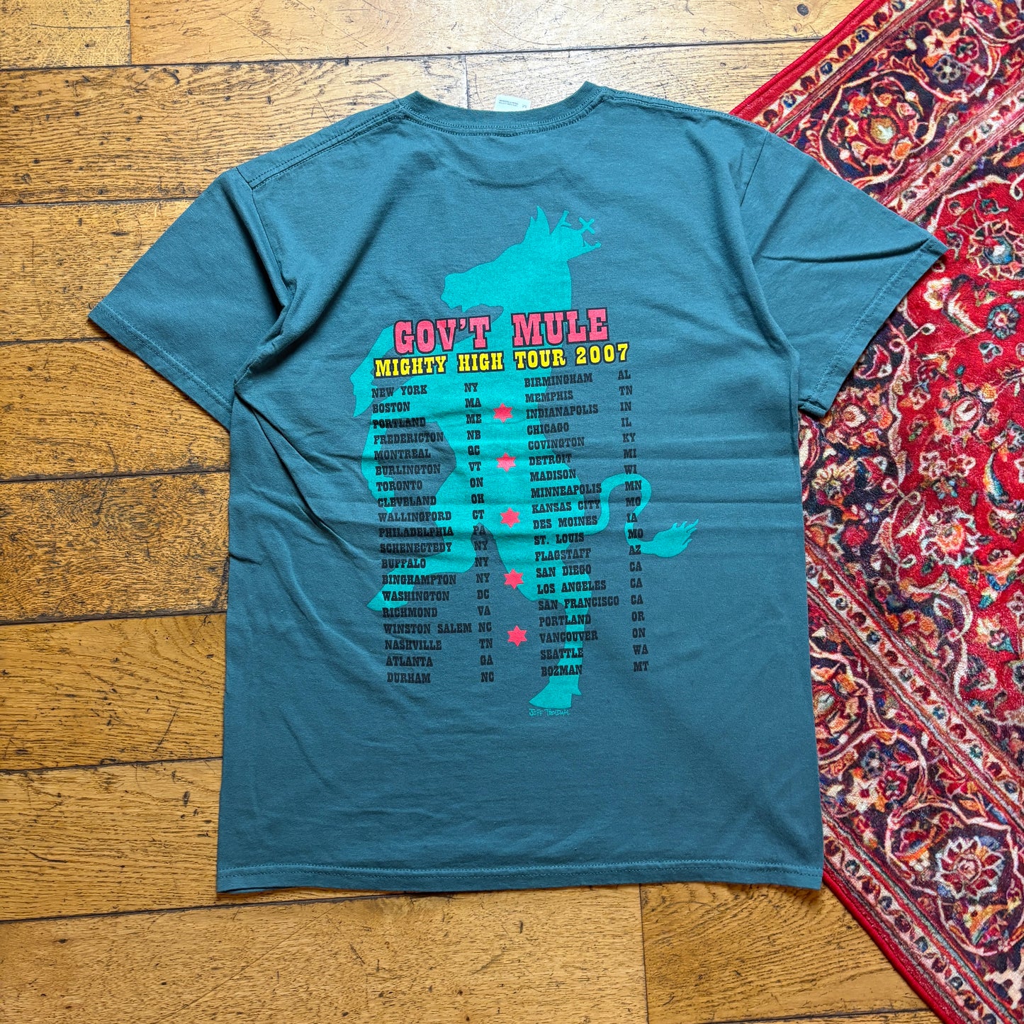 Vintage Gov't Mule Green 2007 Band Tour Graphic T-Shirt - S