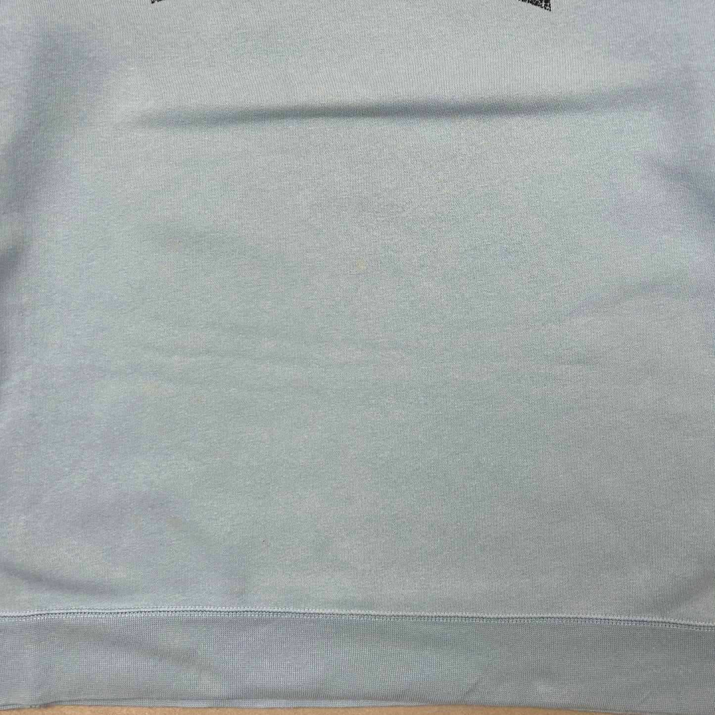 Vintage 00s Nike Silver Tag Spellout Baby Blue Sweatshirt - L