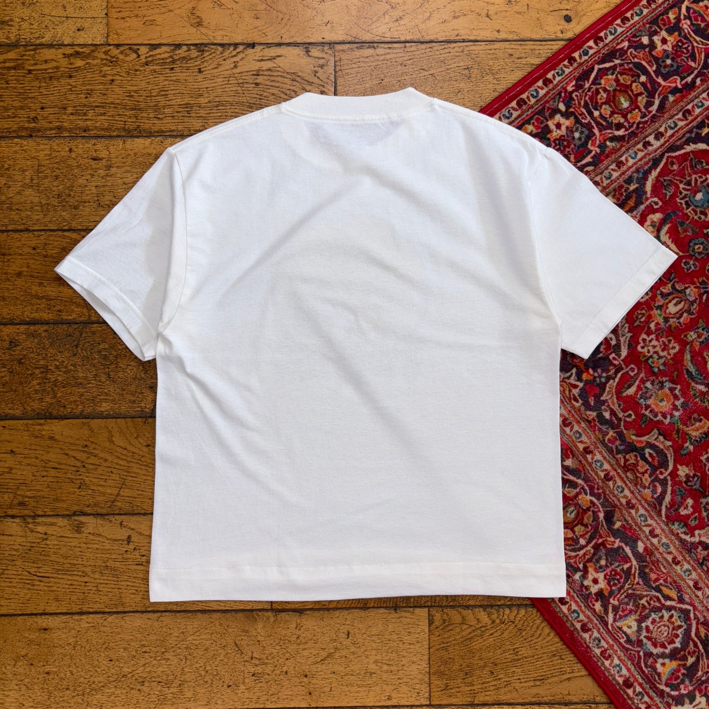 Vintage Dia Sol Iguana Beer White Boxy Cropped Graphic T-Shirt - S